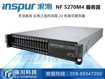 浪潮（INSPUR）NF5270M4服务器/数据